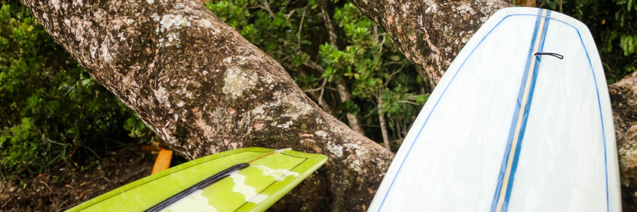 Longboard Clássico ou Progressivo: Qual é o Seu?