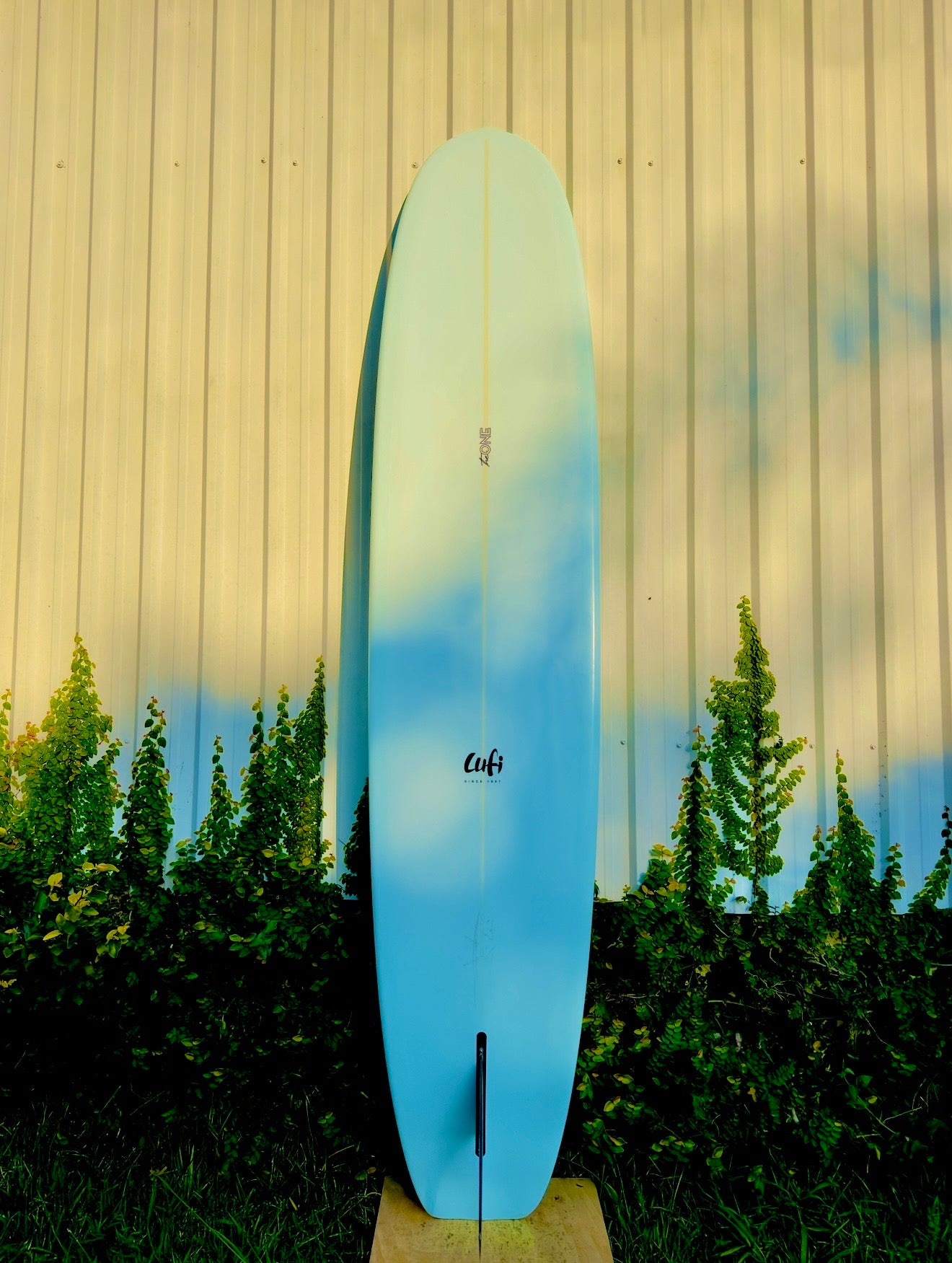 The One | PU | 9'4" | 73L | Azul Pastel