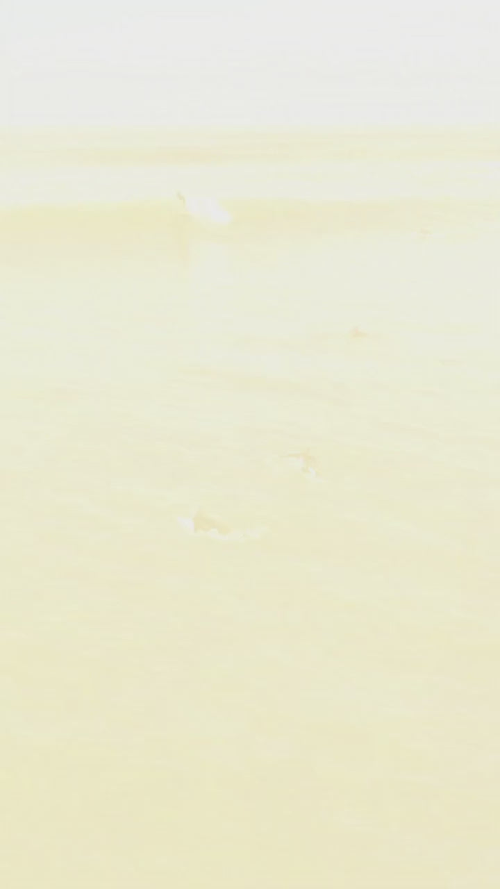 Longboard Lufi Gladiator sendo surfado, imagem aérea da parede da onda
